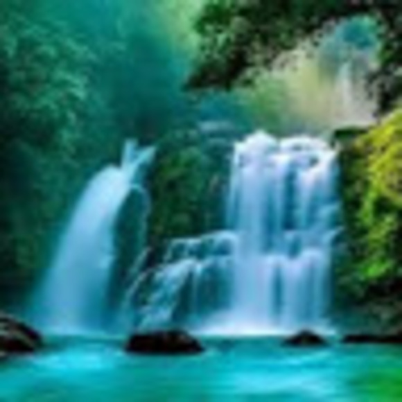 Meet your Posher, Jaclyn - Picture 1 of 1